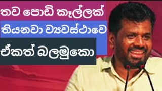 🔴 තව චුටි කෑල්ලක් තියනවා හිටපු ජනාධිපතිවරුන්ට ව්‍යවස්ථාවෙන් දීපු | #anurakumaradissanayake #srilanka