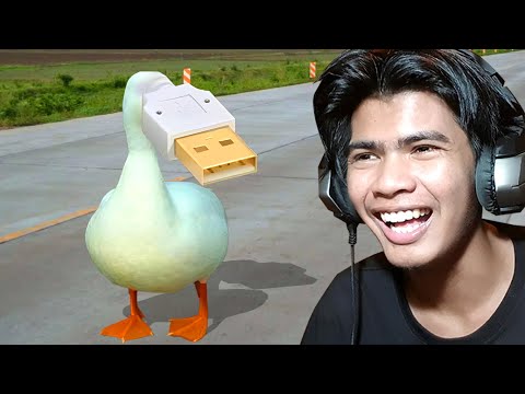 តើនេះជាសត្វអ្វី?