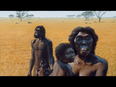 Homo Erectus Documentary | Ancient Human