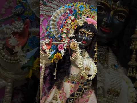 He mere giridhar He Gopala #harekrishna