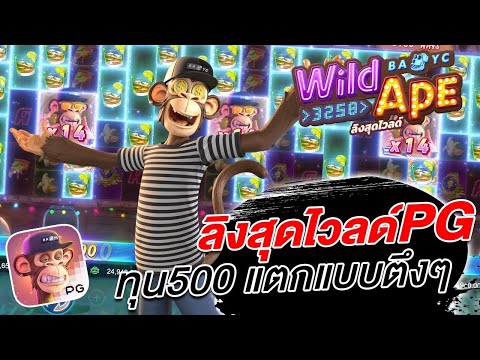 สล็อตเว็บตรง Wild Ape #3258 PG l สล็อตลิงสุดไวลด์PG ทุน500 แตกแบบตึงๆ 24,000+