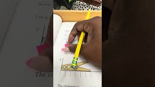 Eureka Second Grade Module 1 Lesson 5 #eureka #graphs #secondgrademaths #mathematics #elementary