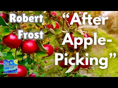 Robert Frost poem "AFTER APPLE PICKING" | wandering poet cafe