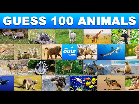 Guess All 100 Animals - Quiz Guess The Animal