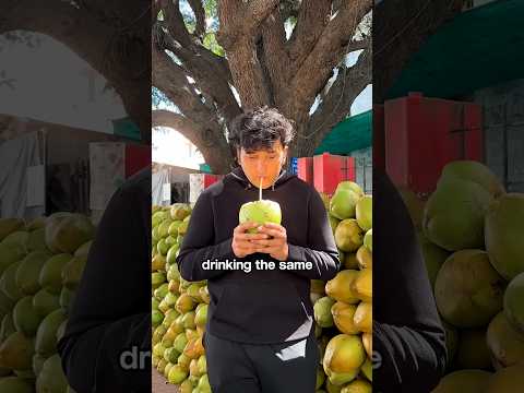 I traveled 869 Kms for Coconut water!!😮😋