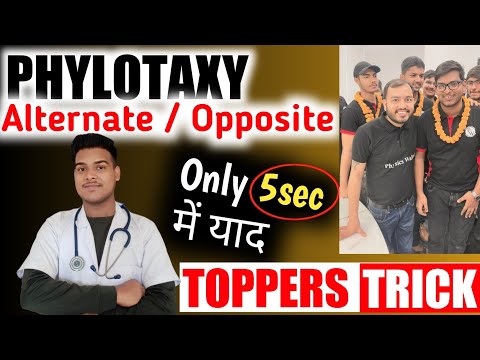 SUPER TRICK FOR PHYLOTAXY alternate or opposite || Morphology tricks for NEET 2024 & 2025