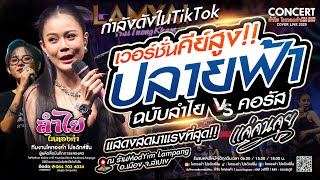 ไวรัลTikTok!! ปลายฟ้า ປລາຍຟ້າ (เวอร์ชั่นคีย์สูงมาก) + เพลงช้าเพราะๆ | คอนเสิร์ตลำไย ไหทองคำ (ใหม่)