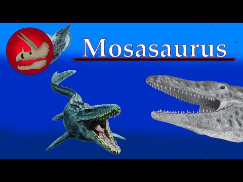 Mosasaurus | Reptile Terror of the Deep | Dino Basics
