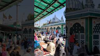 Sabir piya 🙇❤️#ytshorts #viralfeeds #sabirpiya #kaliyarsharifdargah #dargah #shorts #viralshort