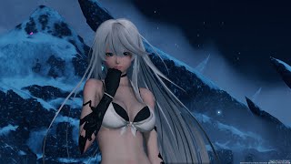 [PSO2NGS] クヴァリスデバステーターズ　Fi/Bo ソロ Sランク　19:45