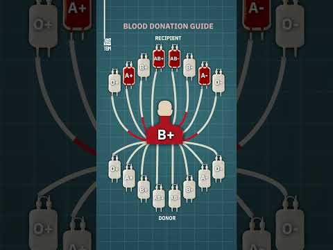 blood donor and recipient #3d #anatomy #medicosphere #viral #shorts #physiology #medicos #bloodgroup