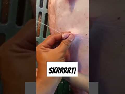 skrrrrrrt!