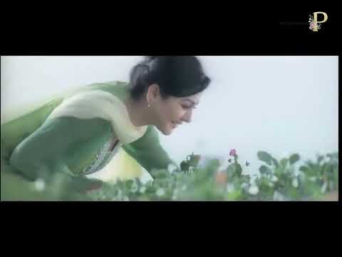 Nurzahan Soiabin Oil TVC - Joya Ashan & Habib Wahid.