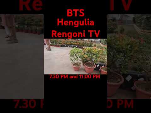 #hengulia #rengoniserial #rengoni #assameseserial #bts #assam