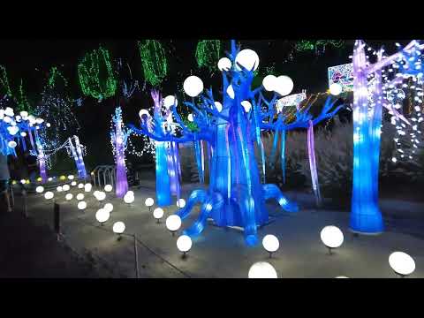 Dji pocket 2 Latern Fest