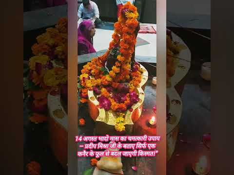 14 अगस्त भादो मास का उपाय प्रदीप मिश्रा #upay #aajkeupaypradeepmishraji #pradeepmishrajidhankeupay