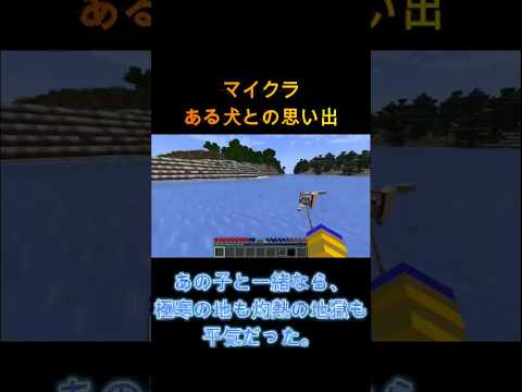 【マイクラ】ある犬との物語… #minecraft #マイクラ #マインクラフト #ゲーム実況 #犬 #感動する話 #悲しい