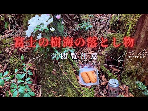 ⚠閲覧注意⚠！！富士の樹海の落とし物
