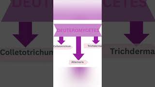 BIOLOGICAL CLASSIFICATION| #biology #neettricks