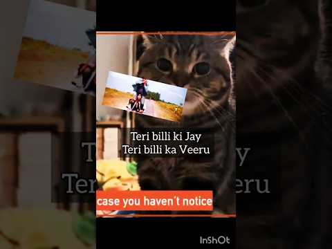 ye billi pagal hai 😂 | #comedy #shorts #shortvideo #youtubeshorts #funny #badshah