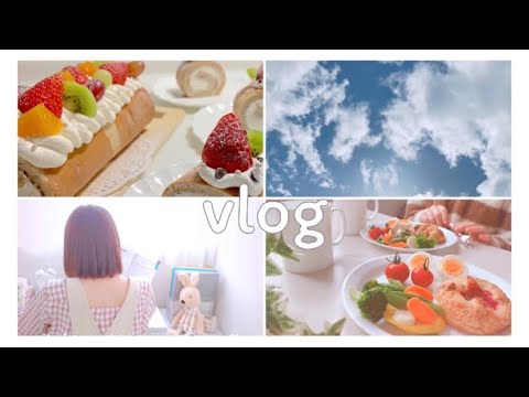 【vlog】How to spend holidays / home time/stay home by SNOW