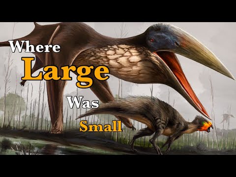 The Island Where Life Got Turned Upside Down