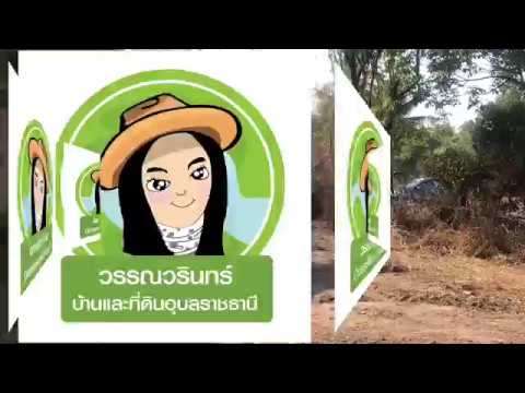 ที่สวนยาง บ้านดอนจันทร์ สว่างวีระวงศ์
