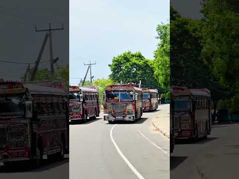 ගමේ අයට අගයක් නැති දුර අයට නැතුවම බැරි ඒවා 🥹❤️ #bus #edit #trend #shorts