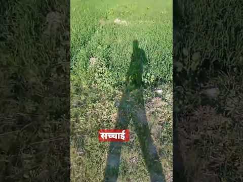 Desi true words #popular #viral #ambedkarnagar