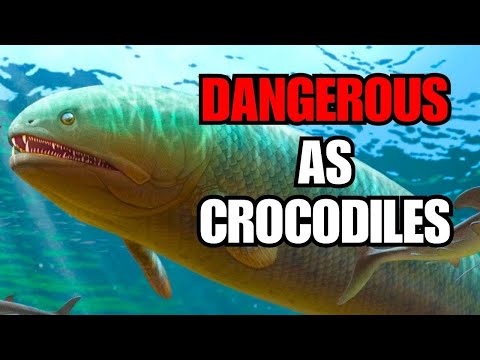 When Fish Were The Real River Monsters