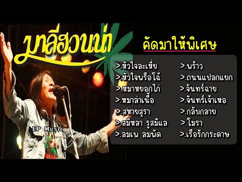 รวมเพลง มาลีฮวนน่า หัวใจละเหี่ย หัวใจพรือโฉ้ หมาหยอกไก่ หมาล่าเนื้อ สหายสุรา ลมเพ ลมพัด พร้าว