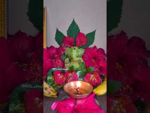 Vinayaka Chavithi  #vinayakachavithi #vinayaka #ganehsa #vigneshshivan #puja #sanatani #Hindu