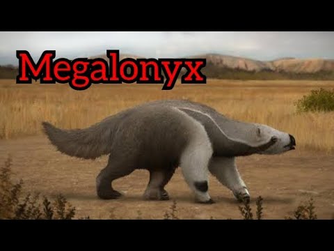 Todo sobre Megalonyx