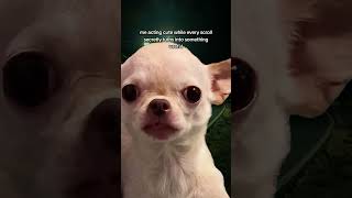 scrolling but somehow still getting smarter