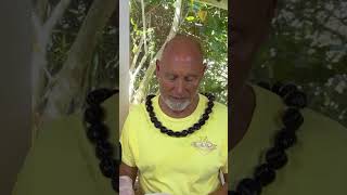 Gratitude, Presence & Higher Alignment