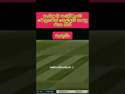 අවංකවම රට වෙනුවෙන්🌹 සෙල්ලම් කරපු එකා🔥 බං#srilankacricket #shortvideo