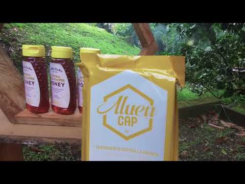 Belles Ruches Apiaries