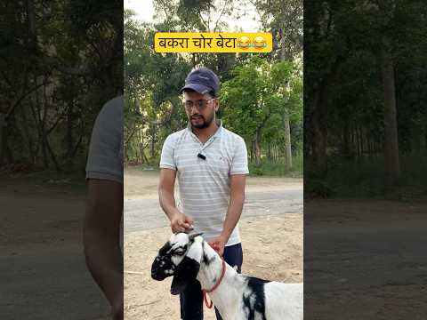 बेटा ही चोर😂😂 #funnyshorts #comedy #viralshorts #ytshorts #shorts #coolswaguk07 #aamirbijnori