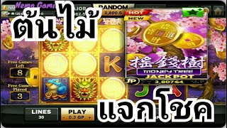 #slotxo #joker123 หลักร้อยสอยเป็นพัน #nemoslot