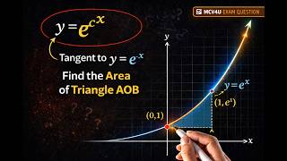 Exponential Derivatives Application Challenge to Find Area IB HL AP Math