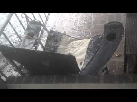 Dobermann eyes vermin up-