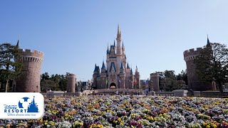 【公式】「サマー・クールオフat Tokyo Disney Resort」テーマソングの一部をお届け  | 東京ディズニーリゾート/Tokyo Disney Resort