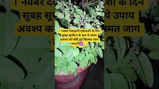 1नवंबर देवउठनी एकादशी के दिन सुबह सूर्योदय के बाद ये उपाय#ytshorts#mahadev#bholenath#shiv#ekadashi