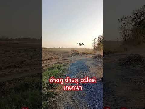 #djit30 #farming #คนบ้านเฮา #คนอีสาน #drone #บ้านแท่นโดรนเกษตร ปลูกอ้อยรีบฉีดยาคุม