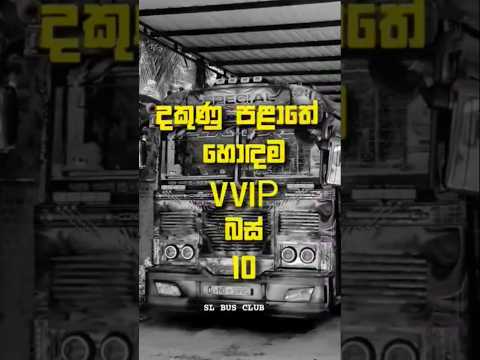 දකුණේ හොඳම බස් එක මොකක්ද?bus modified #shorts #viralshorts #srilanka