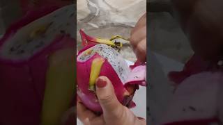 How To Cut Dragon Fruit | #dragonfruit  #foodie #cooking #shorts