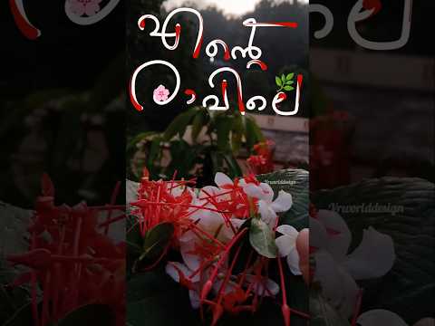 എന്റെ മോർണിങ് 🌸,Part-2  #morningvibes #flowers #shortsvideo #dailyvlogs#subscribemychannel