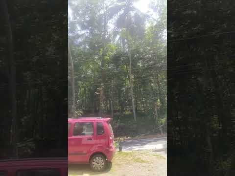 beauty of koorachundu