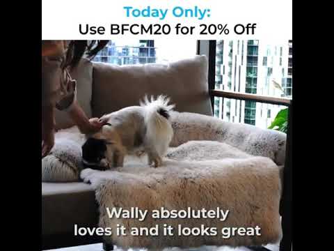Calming Couch Protector | BLACK FRIDAY SALE 20% OFF | Cradles