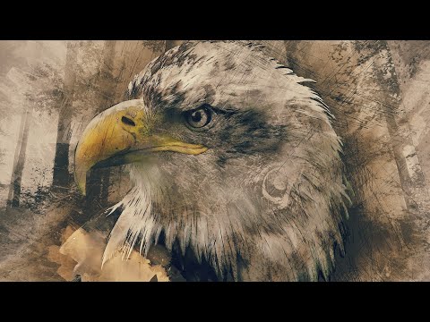 sketch of eagle